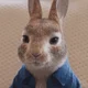 movie peter rabbit