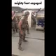 the mighty foot