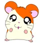 Hamtaro