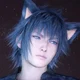 Noctis Lucis Caelum