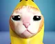Banana Cat