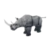 Black rhinoceros 