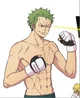 The boxer zoro