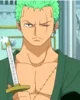 Roronoa zoro husbu 1