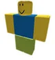 12yo roblox kid
