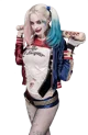 Harley Quinn