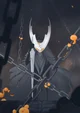 The Hollow Knight