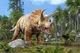 triceratops2