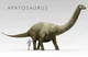 The Apatosaurus 