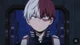 Shoto Todoroki 