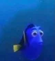 dory