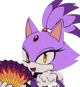 Blaze the Cat