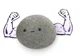 Pet rock