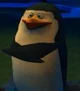 Skipper penguin game