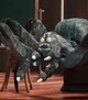 Robot Chicken spider