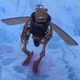 robot chicken hopper