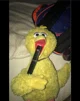 Vaping big bird 