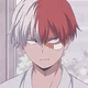 Shoto Todoroki