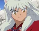 Inuyasha dog