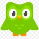 Duolingo
