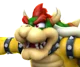 bowser