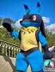 Lucario Pt Br