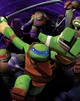 TMNT RP CUZ Y NOT