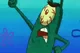 angry Plankton