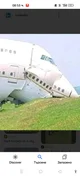 Vegan plane