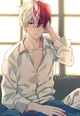 Shoto Todoroki 