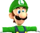 wii luigi