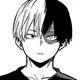 Shoto Todoroki
