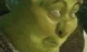 Shrek the best