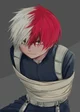 shoto todoroki