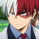 Shoto todoroki 