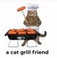 Cat Grill Friend