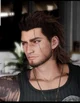 Gladiolus Amicitia