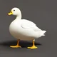 Ordekk The Boy Duck1