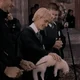 Draco malfoy 