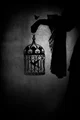 Caged Bird