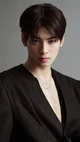 Spy Lee Soo-ho 