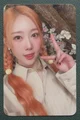 Handong