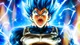 SSBE Vegeta