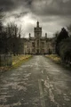 Asylum
