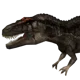 Carcharodontosaurus 