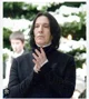 Snape borracho