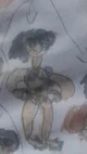 Diyuka ragus