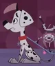 Dylan Dalmatian