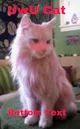 Uwu cat