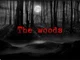 The woods